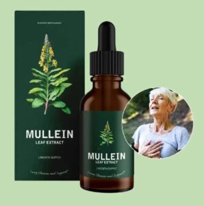 WhatsApp Image 2025-12-08 at 10.11.46